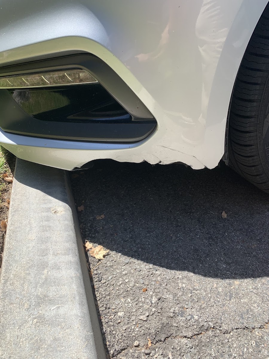 Avo's Auto Body & Paint photo