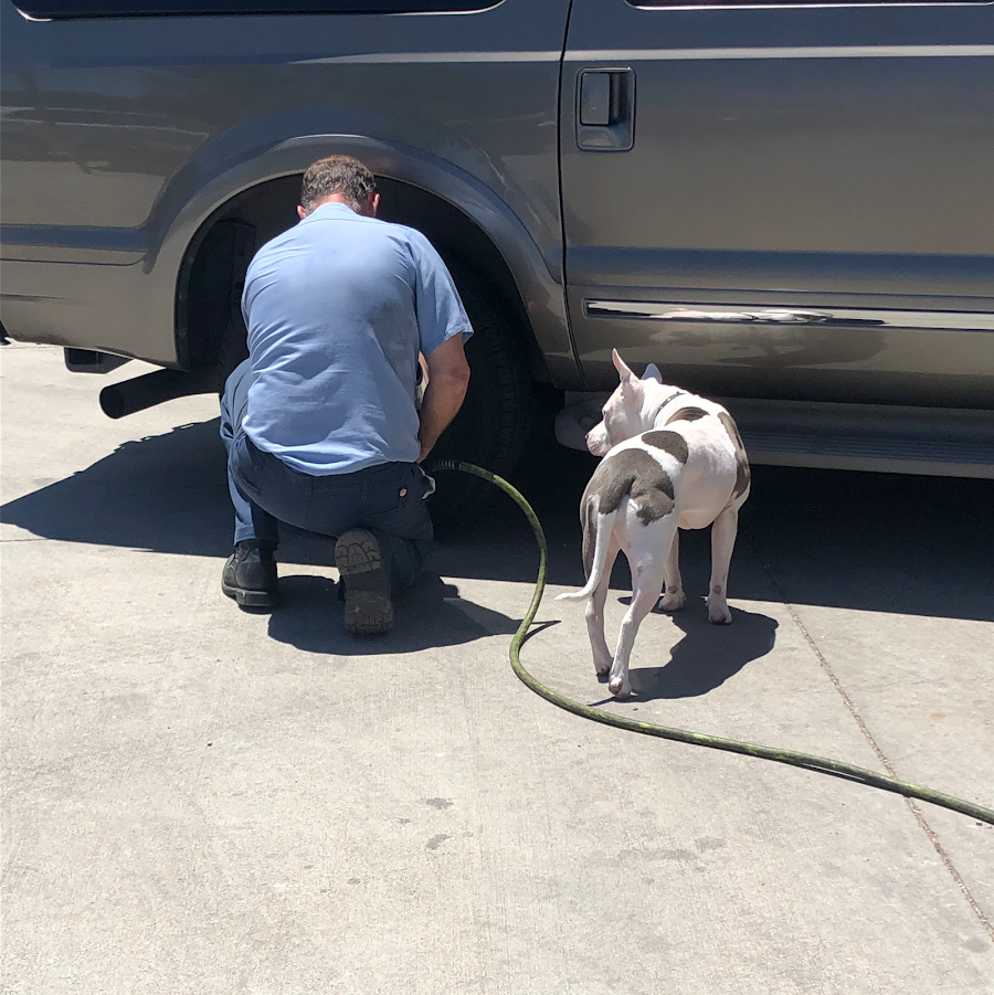 Expert Automotive Inc. photo