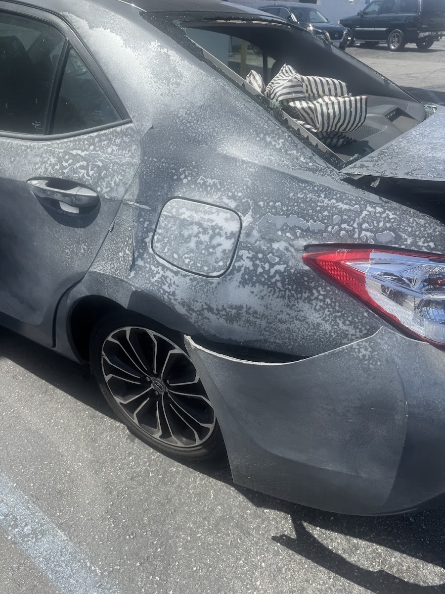 Gardena Collision Center photo